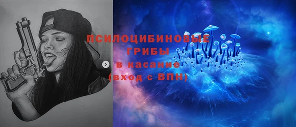 гашик Балахна