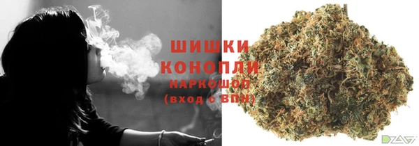 гашик Балахна